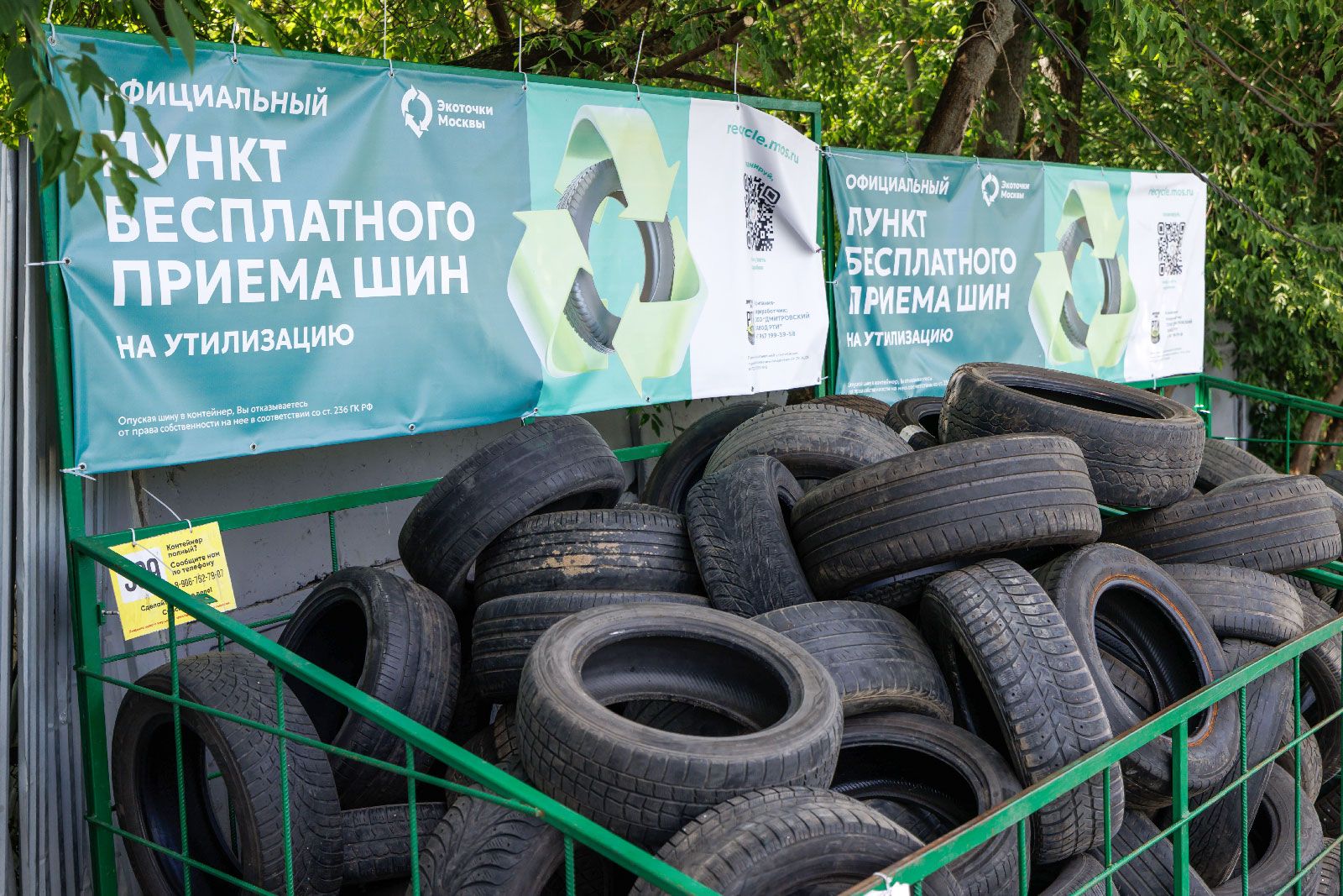 ekologicheskie posledstviya szhiganiya pokryshek